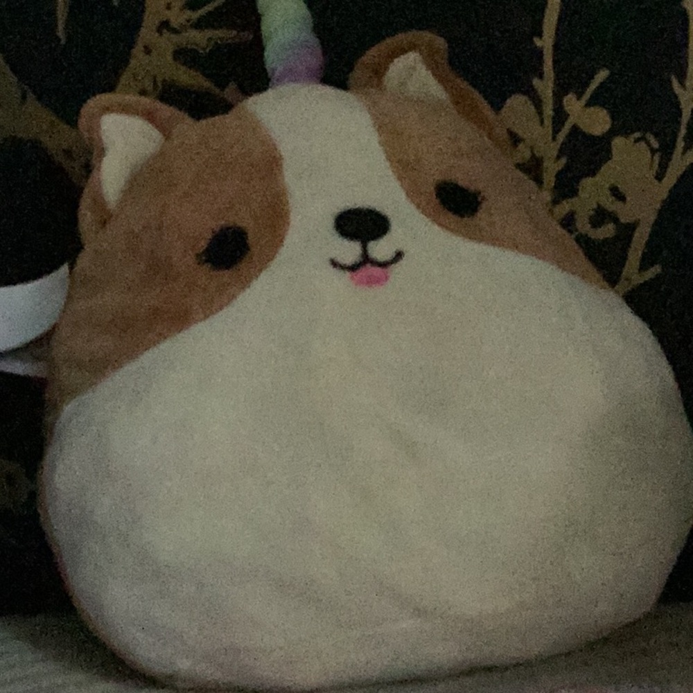 Dog unicorn squish, mellow